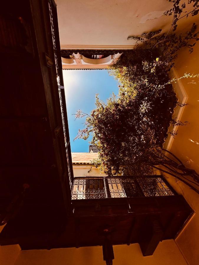 Riad Msholidays Bassin Privatise Marrakech マラケシュ エクステリア 写真
