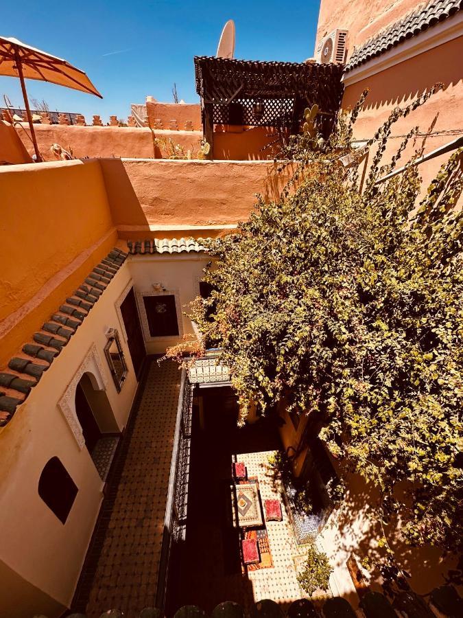 Riad Msholidays Bassin Privatise Marrakech マラケシュ エクステリア 写真